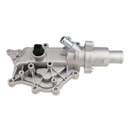 Thermostat Flange