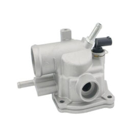 Thermostat Flange