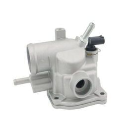 Thermostat Flange
