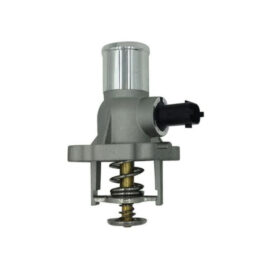 Thermostat Flange