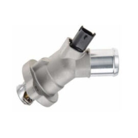 Thermostat Flange