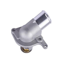 Thermostat Flange