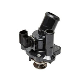 Thermostat Flange