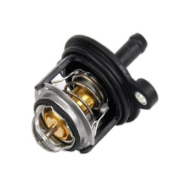 Thermostat Flange