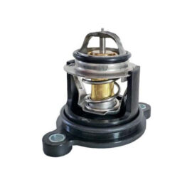 Thermostat Flange